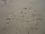 2012 - Tag 13