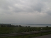 SAM_3575