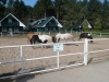 SAM_3692