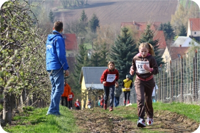 33. Wilischlauf