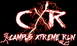 Das Logo vom CXR 2015